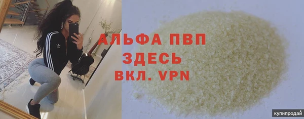 сатива Абинск