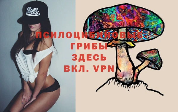 сатива Абинск