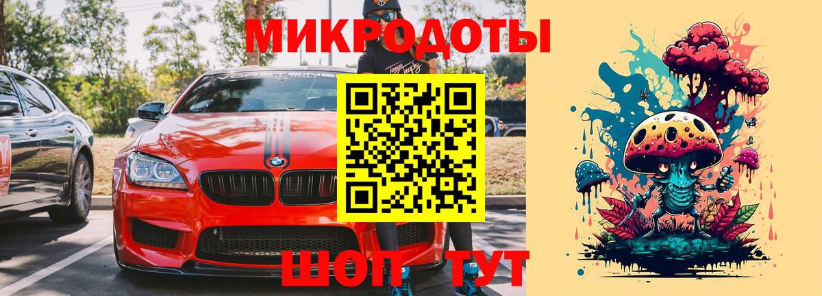 Каменка  Псилоцибиновые грибы мухоморы  Вход с VPN 